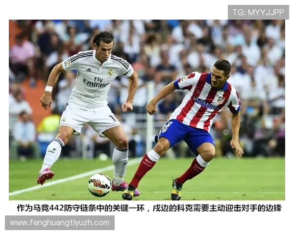 如何利用球探功能精准发现游戏中的隐藏宝藏与稀有资源提升战斗力